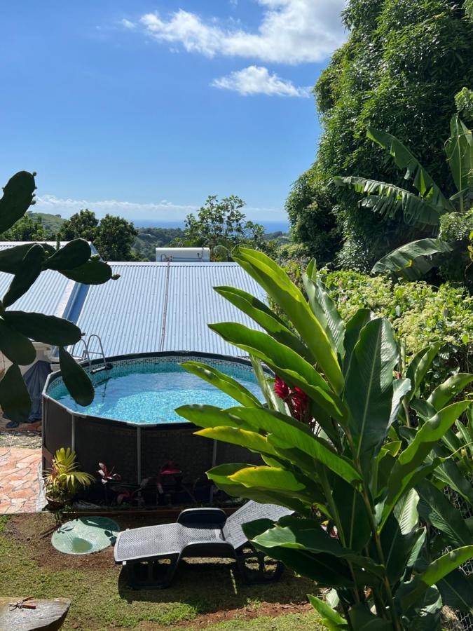 Villa Iguana, Duplex Paisible, Vue Magnifique Mer Et Rocher Du Diamant, Piscine Sainte-Luce Buitenkant foto